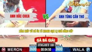 TRẬN 10 CPC3 25/5/2026