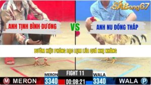 TRẬN 11 CPC2 28/5/2026