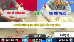TRẬN 11 CPC2 30/5/2026