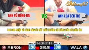 TRẬN 11 CPC3 28/5/2026
