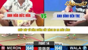 TRẬN 14 CPC2 27/5/2026