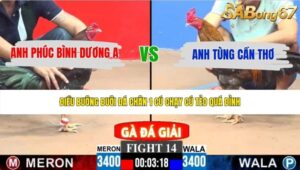 TRẬN 14 CPC3 25/5/2026