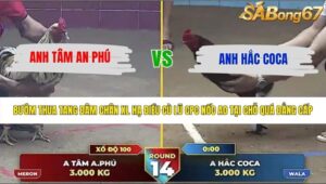 TRẬN 14 THƯỜNG PHƯỚC 24/5/2026