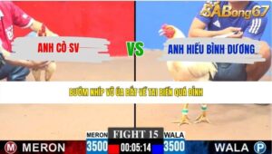 TRẬN 15 CPC3 24/5/2026