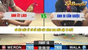 TRẬN 16 CPC2 23/5/2026