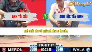 TRẬN 17 CPC3 31/5/2026