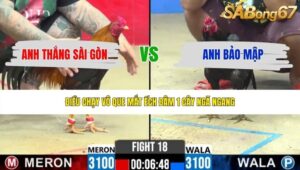 TRẬN 18 CPC2 31/5/2026