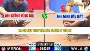 TRẬN 18 CPC3 24/5/2026