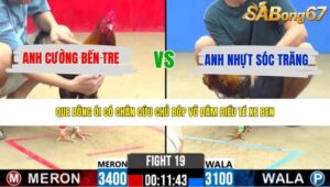 TRẬN 19 CPC2 27/5/2026