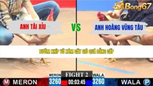 TRẬN 2 CPC3 24/5/2026