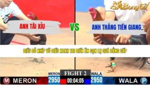 TRẬN 2 CPC3 28/5/2026