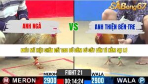 TRẬN 21 CPC2 23/5/2026