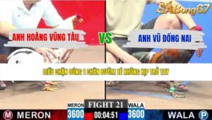 TRẬN 21 CPC3 25/5/2026