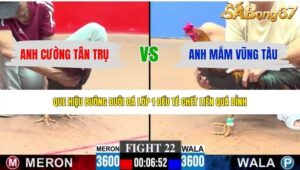 TRẬN 22 CPC3 31/5/2026
