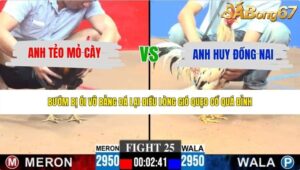 TRẬN 25 CPC3 28/5/2026