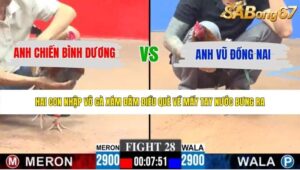 TRẬN 17 CPC2 23/5/2026