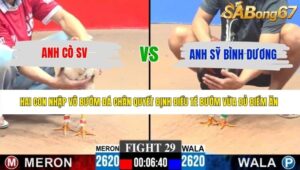 TRẬN 29 CPC3 23/5/2026