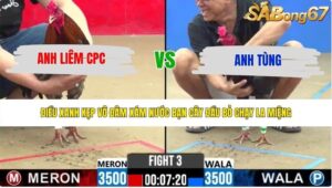 TRẬN 3 CPC2 25/5/2026