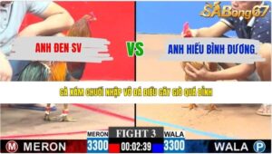 TRẬN 3 CPC3 24/5/2026