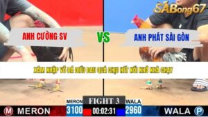 TRẬN 3 CPC3 31/5/2026