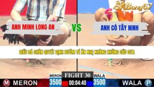 TRẬN 30 CPC3 23/5/2026