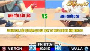 TRẬN 36 CPC3 28/5/2026