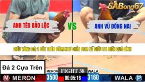 TRẬN 38 CPC3 28/5/2026