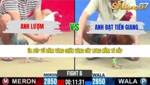 TRẬN 6 CPC2 31/5/2026