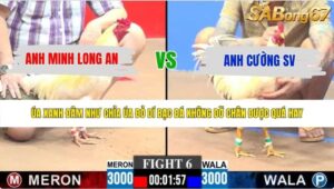 TRẬN 6 CPC3 24/5/2026