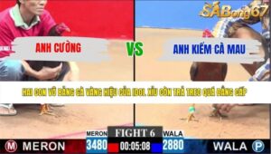 TRẬN 6 CPC3 31/5/2026