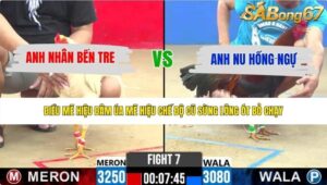 TRẬN 7 CPC2 23/5/2026