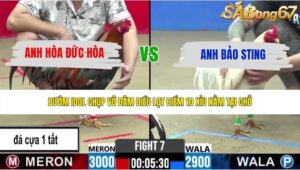 TRẬN 7 CPC2 27/5/2026