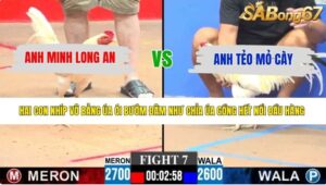 TRẬN 7 CPC3 28/5/2026