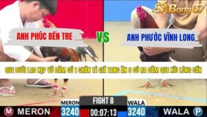TRẬN 8 CPC2 26/5/2026