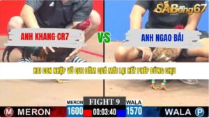 TRẬN 9 CPC3 23/5/2026