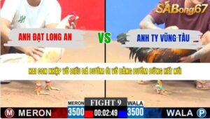 TRẬN 9 CPC3 28/5/2026