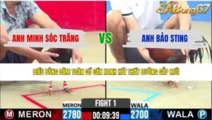 TRẬN 1 CPC2 3/6/2026