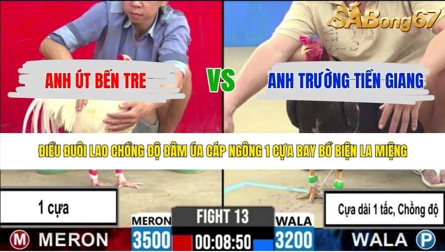 TRẬN 13 CPC2 3/6/2026