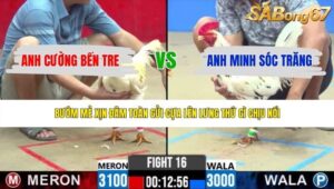 TRẬN 16 CPC2 3/6/2026