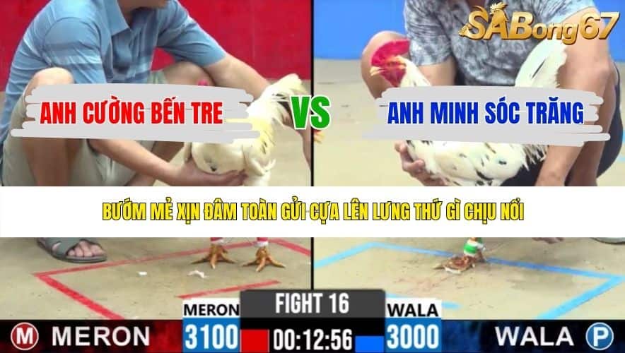 TRẬN 16 CPC2 3/6/2026