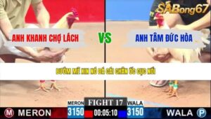 TRẬN 17 CPC3 1/6/2026