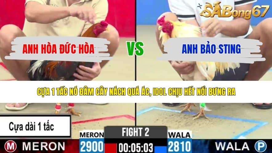 TRẬN 2 CPC2 3/6/2026