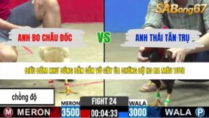 TRẬN 24 CPC2 1/6/2026