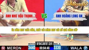 TRẬN 25 CPC3 1/6/2026