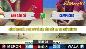 TRẬN 28 CPC2 1/6/2026