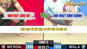 TRẬN 3 CPC2 2/6/2026