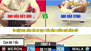 TRẬN 4 CPC2 3/6/2026