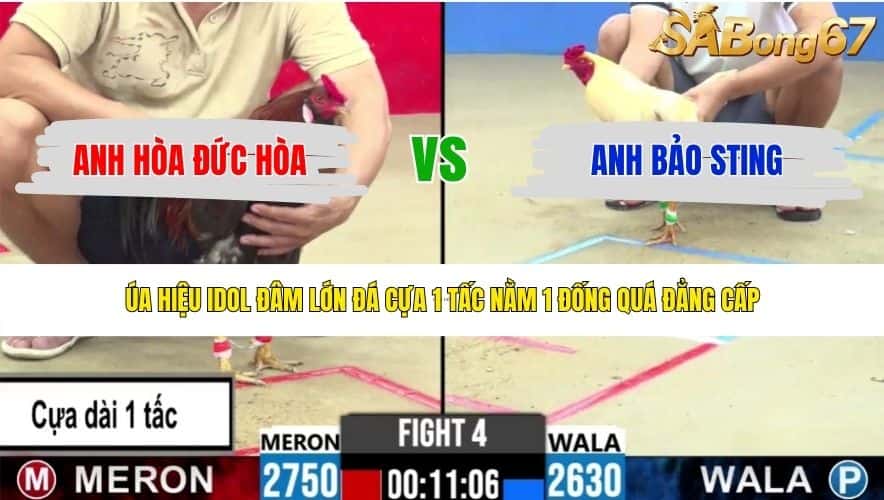 TRẬN 4 CPC2 3/6/2026