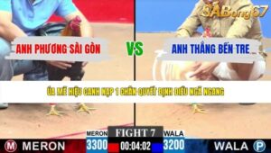 TRẬN 7 CPC3 1/6/2026